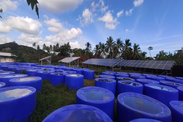 Система наземного монтажа 400 кВт для солнечной фермы Aquoponic
